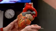 Heart & Vascular