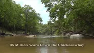 35 Million Years Down the Chickasawhay