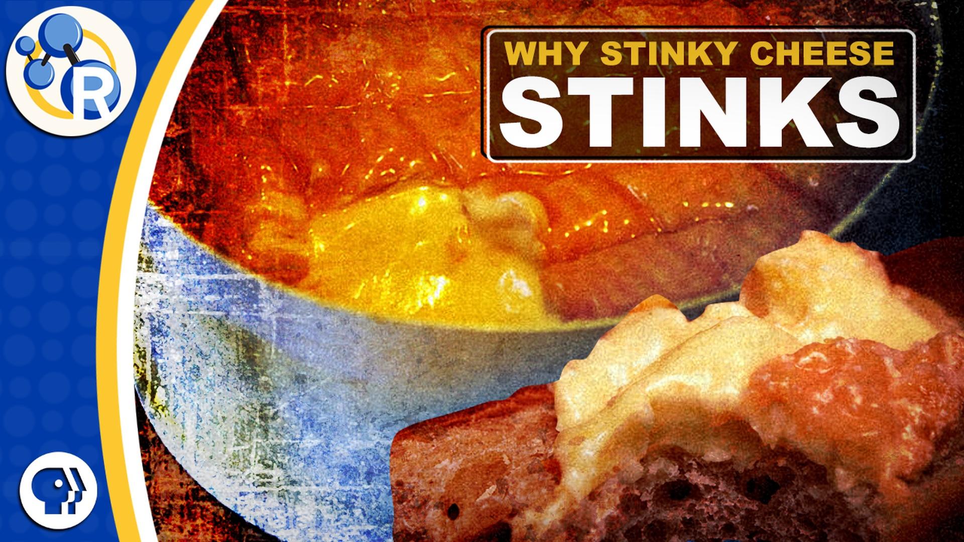 why-does-stinky-cheese-stink-reactions-all-arts