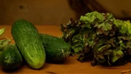 Companion Vegetable Planting
