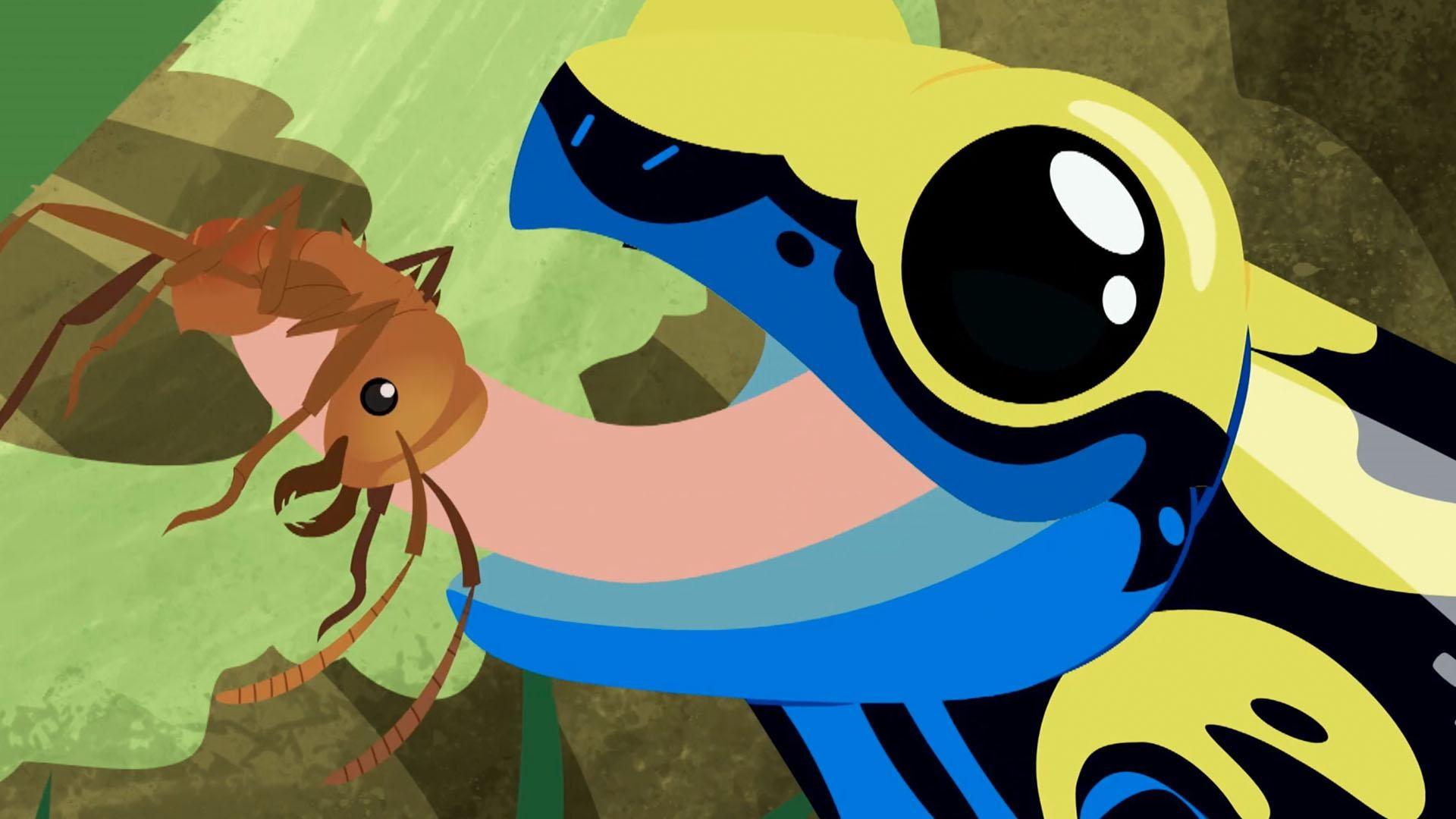 Wild Kratts | The Great Froggyback Ride | Season 6 | Episode 10 | PBS Wild Kratts | The Great Froggyback Ride | Season 6 | Episode 10 | PBS