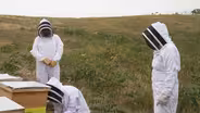 Save the Bees