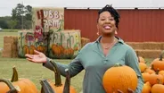 Preview | Autumn Across the State