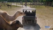 Aikman Wildlife Adventure