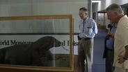 Dragon Museum