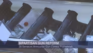 Senators Reach Agreement on Gun Control Legislation