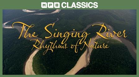 Video thumbnail: MPB Classics The Singing River: Rhythms of Nature (2003)