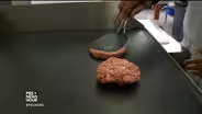 Mock meat rivals race to engineer better plant-based burgers
