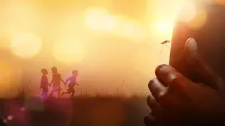 The Battle to Beat Malaria