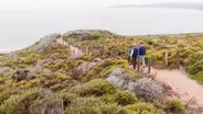 A Healthy Dose of Nature
