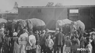 Sells Circus Diaries