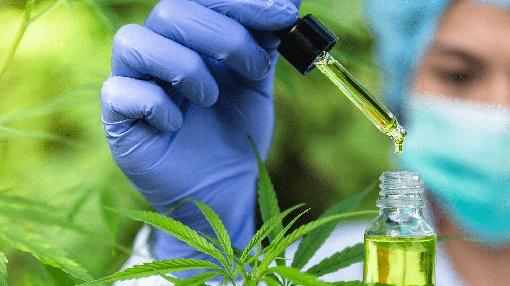 Vitals : CBD is Everywhere, But Who's Regulating It?