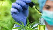 CBD is Everywhere, But Who's Regulating It?