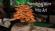 Bending Wire into Art