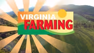 Virginia Farming: Restoring on -  Farm Quail habitat