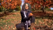 Persimmons - Harvesting Health