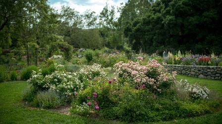 Video thumbnail: Lost LA Descanso Gardens