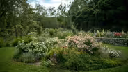 Descanso Gardens