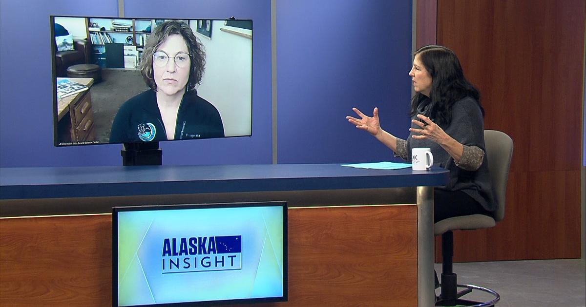 Alaska Insight What's Causing Deadly landslides in Southeast Alaska