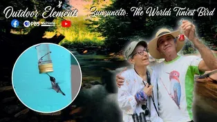 Zunzuncito: The Worlds Tiniest Bird