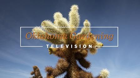 Video thumbnail: Oklahoma Gardening Oklahoma Gardening April 22, 2023