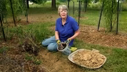 How to use Mushroom Compost