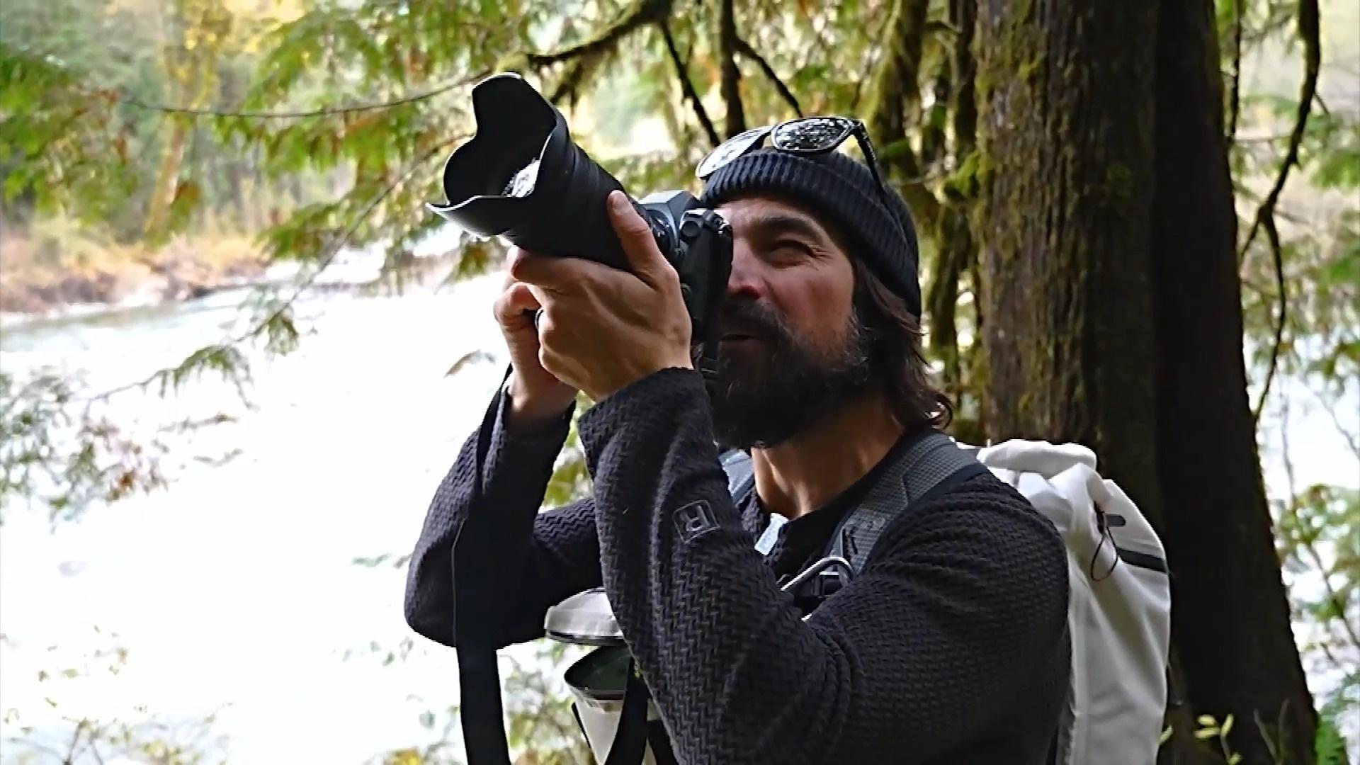 New growth in logged forests inspires photographer’s hope