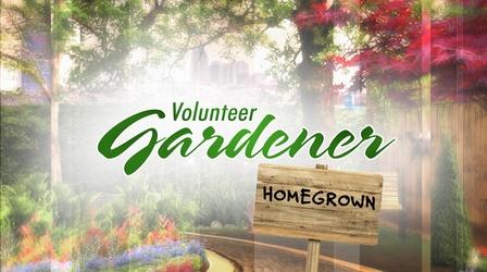 Video thumbnail: Volunteer Gardener Volunteer Gardener | Home Grown