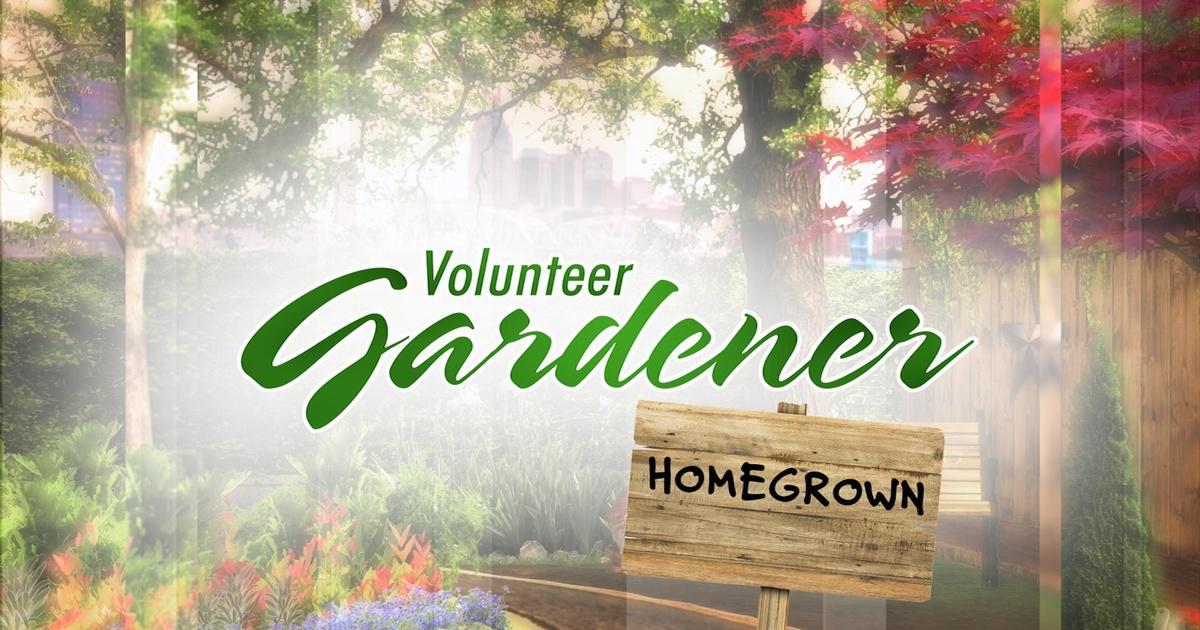 Volunteer Gardener | Volunteer Gardener | Home Grown | PBS