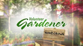 Volunteer Gardener | Home Grown