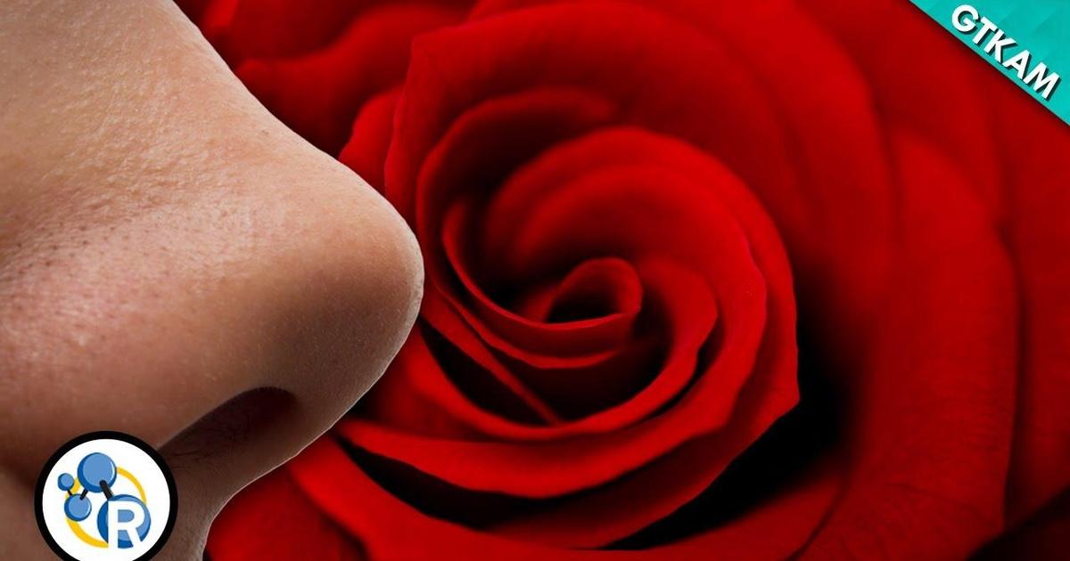 Reactions Why Do Roses Smell So Sweet? Season 2 Episode 7 PBS