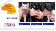 10/31/2024 | Kelso, Tammy Luster and Kyle | Mark's Furry Friends