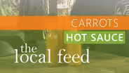Carrots | Carrot Hot Sauce