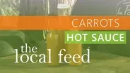 Carrots | Carrot Hot Sauce