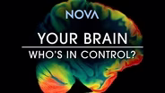 TRAILER | NOVA 5010 | Your Brain | Who's In Control?