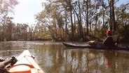 Chipola River Paddling Trail