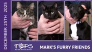 12/25/2025 | Lindy Star, Daisy and Mable | Mark's Furry Friends