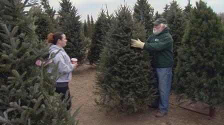 Video thumbnail: Wisconsin Life Christmas Eve Christmas Tree Shoppers
