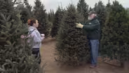 Christmas Eve Christmas Tree Shoppers