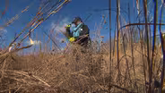 Southeastern Grasslands Initiative | American Spring Live