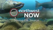 Saving The Source - October 25