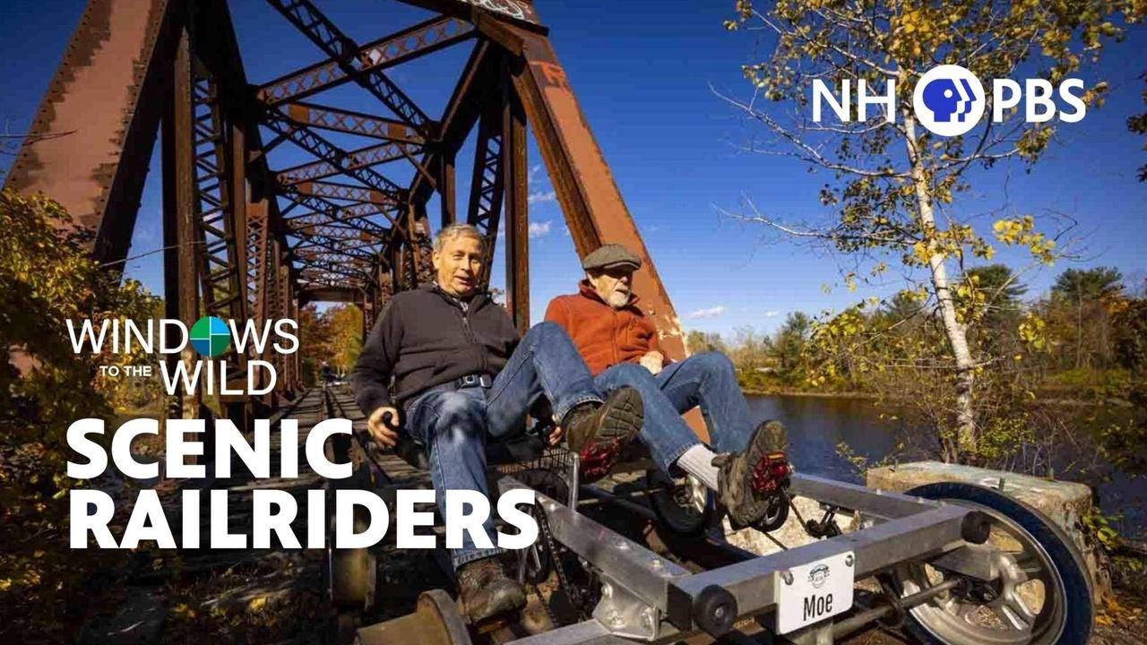 Windows to the Wild | Scenic Railriders