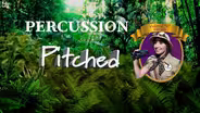 Meet Pitched Percussion Musicians!