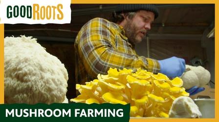 Video thumbnail: Arkansas Week Good Roots - Mushroom Farming