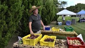 Video thumbnail: Virginia Currents delli Carpini Farm; Capital Trees Project (#2819)