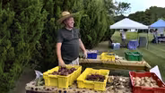 delli Carpini Farm; Capital Trees Project (#2819)