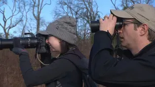 Christmas Bird Count | American Spring Live | NPT