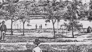 Development Part I