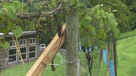 Video thumbnail: Tennessee Crossroads Tennessee Crossroads 3312