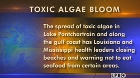Video thumbnail: Louisiana: The State We're In Louisiana: The State We're In - 7/5/2019